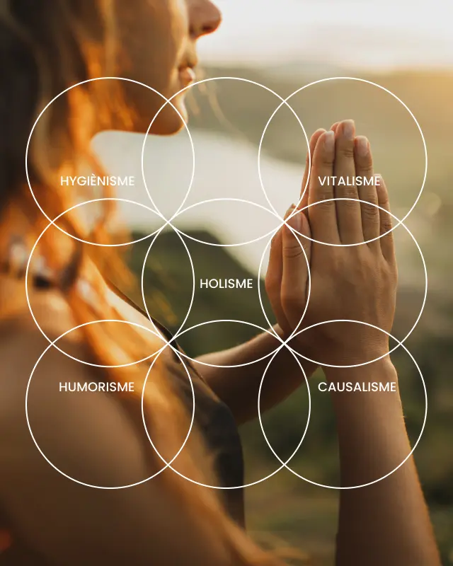 naturopathie piliers