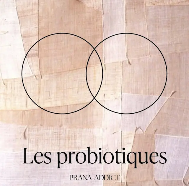 probiotiques et microbiote intestinal